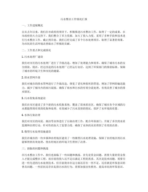 污水整治工作情况汇报