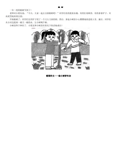 看图作文_图片+例文