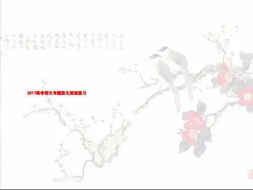 2017高考语文专题散文阅读复习 35PPT