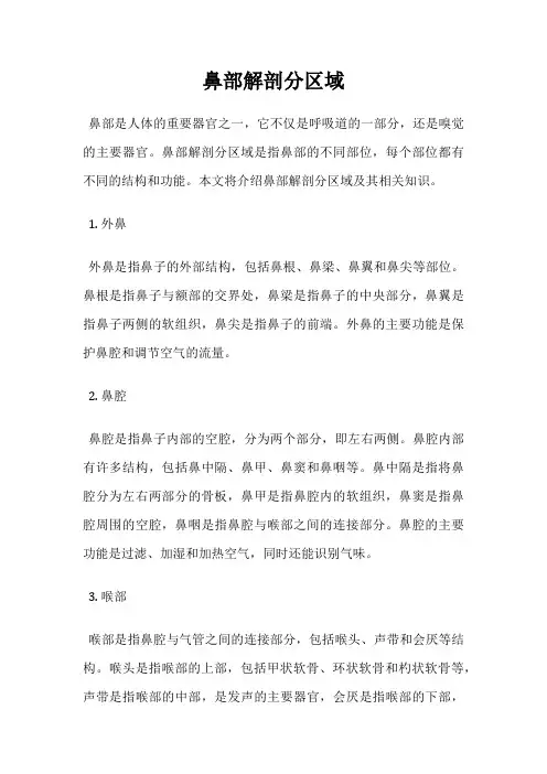 鼻部解剖分区域