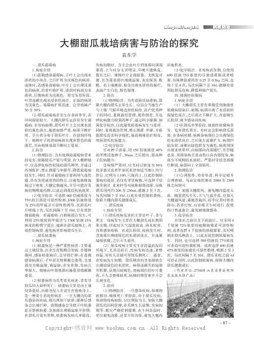 大棚甜瓜栽培病害与防治的探究
