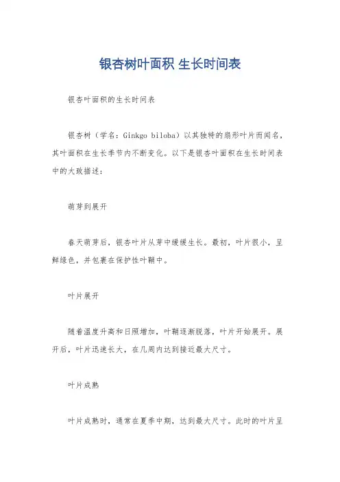 银杏树叶面积 生长时间表