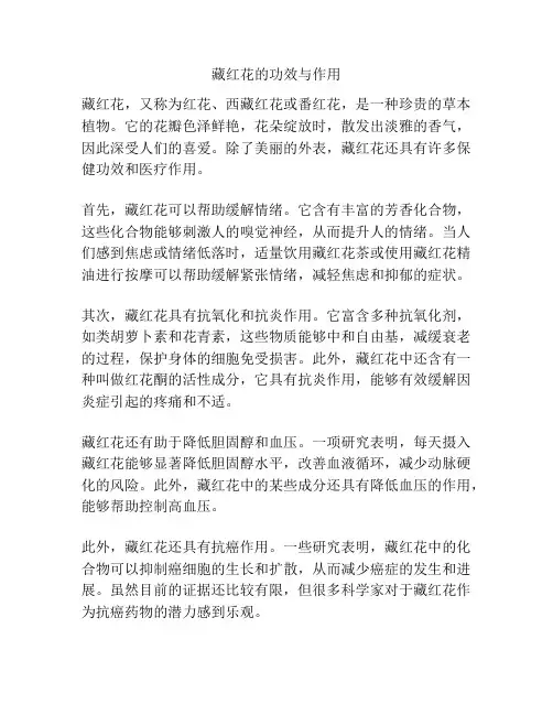 藏红花的功效与作用