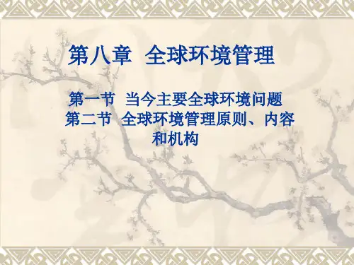 环境管理学第八章全球环境管理精品PPT课件