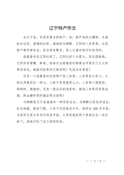 辽宁特产作文
