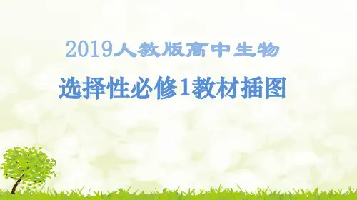 (做课件必备)2019人教版高中生物选择性必修1教材插图