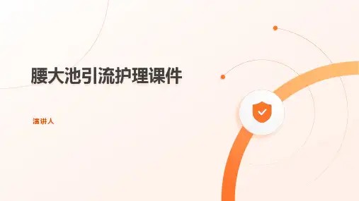 腰大池引流护理课件