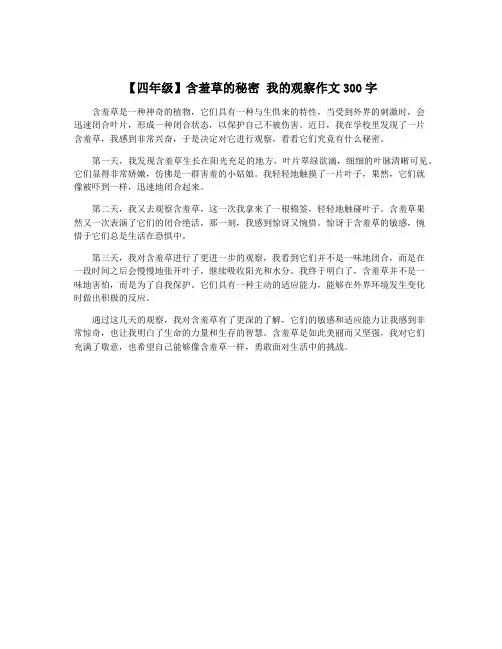 【四年级】含羞草的秘密 我的观察作文300字