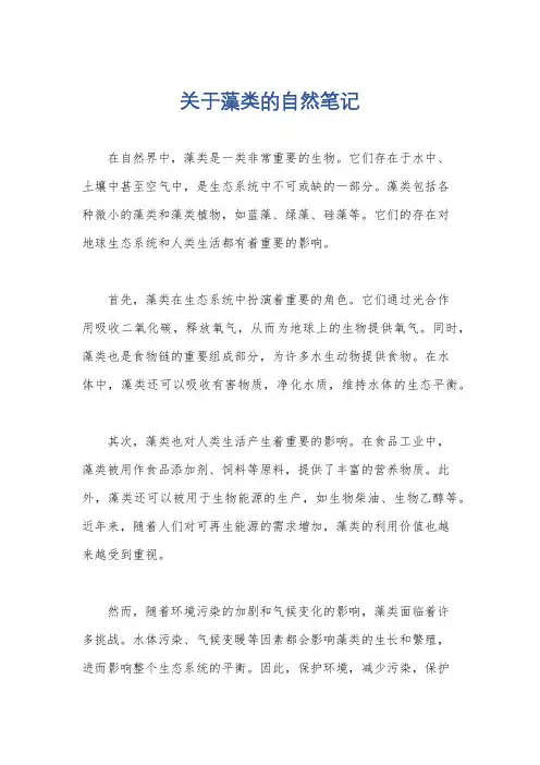 关于藻类的自然笔记