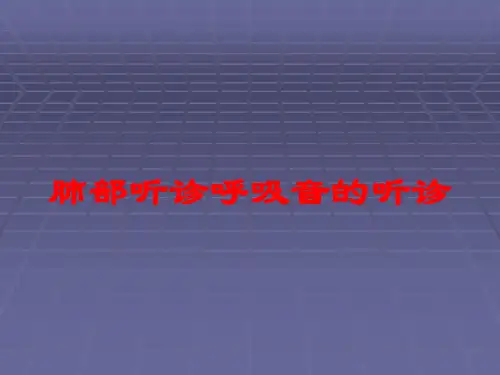 肺部听诊呼吸音的听诊培训课件
