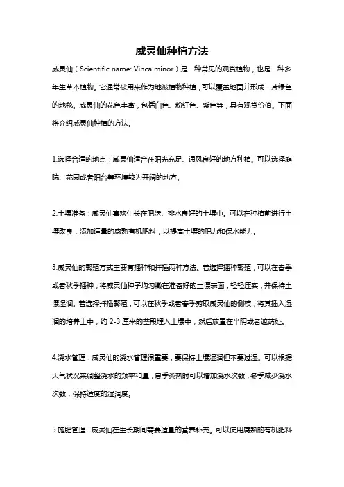 威灵仙种植方法