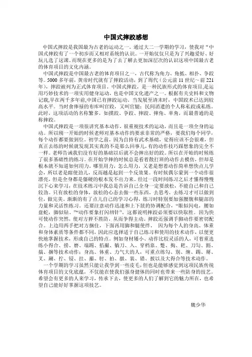 中国式摔跤感想