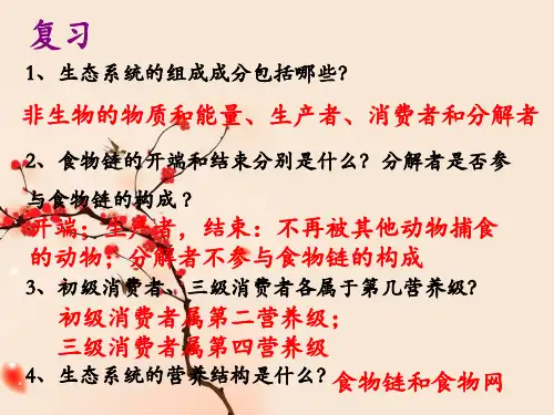 5 .2 生态系统的能量流动(共25张PPT)