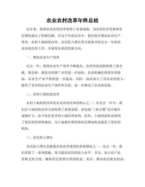 农业农村改革年终总结