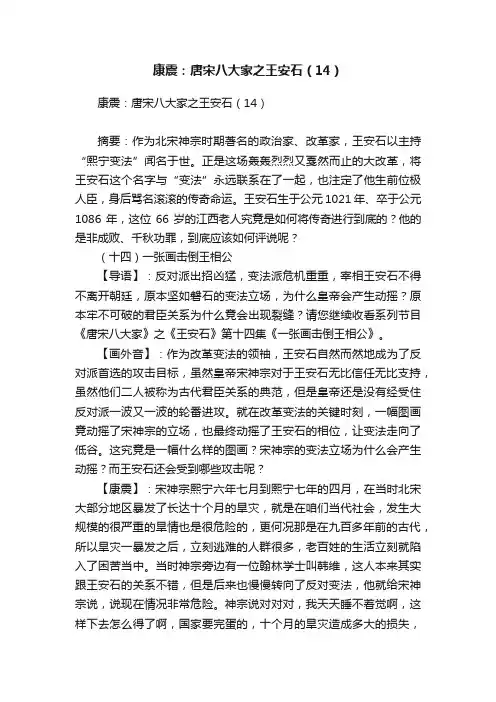 康震：唐宋八大家之王安石（14）