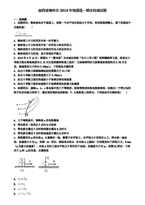 陕西省榆林市2019年物理高一期末检测试题