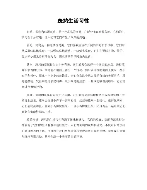 斑鸠生活习性