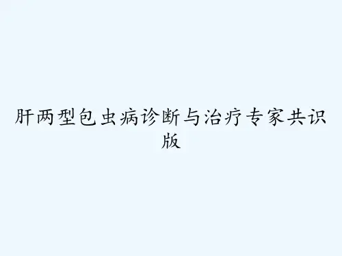 肝两型包虫病诊断与治疗专家共识版ppt