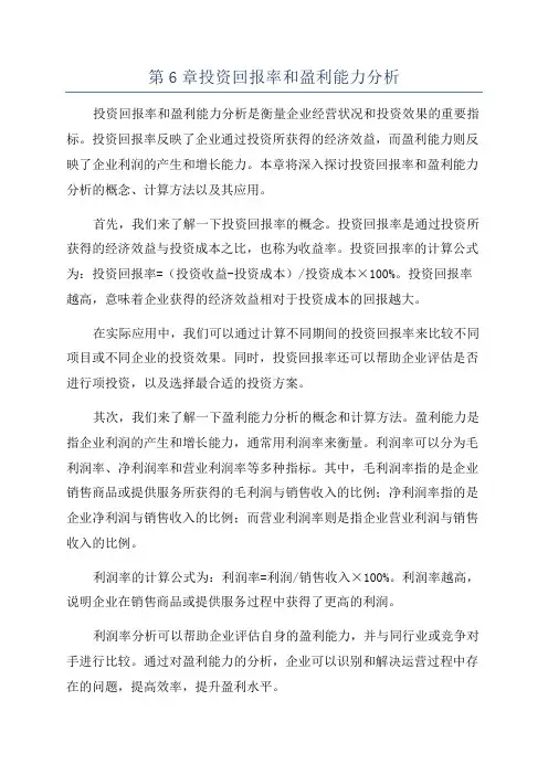 第6章投资回报率和盈利能力分析