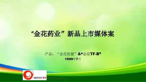 某药业新品上市媒体案(ppt 15页)