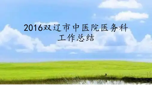 医务科总结ppt课件