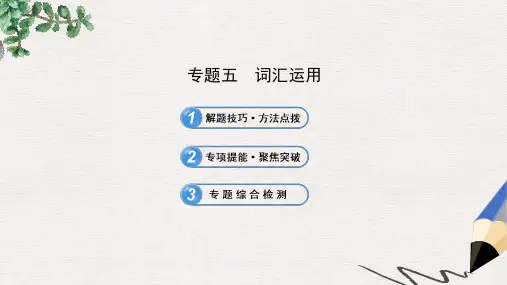 初中英语全程复习方略课件(专题突破案)专题五词汇运用(冀教版)