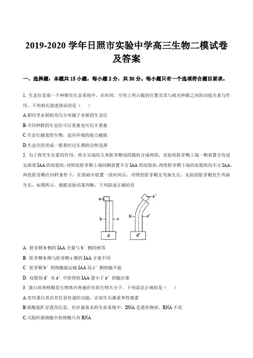 2019-2020学年日照市实验中学高三生物二模试卷及答案