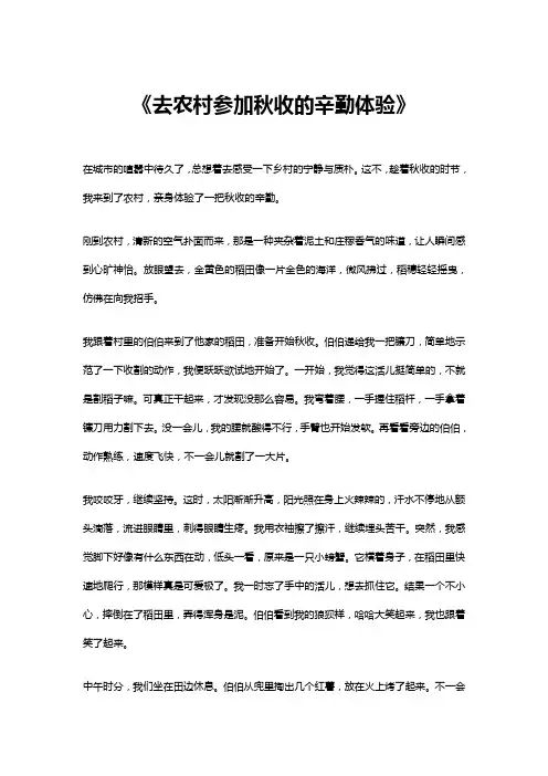 去农村参加秋收的辛勤体验作文