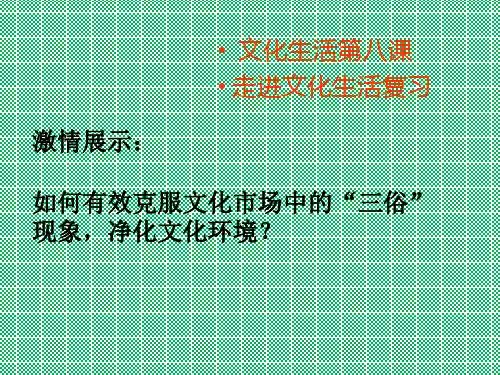 人教版必修三文化生活第八课《走进文化生活》复习课件