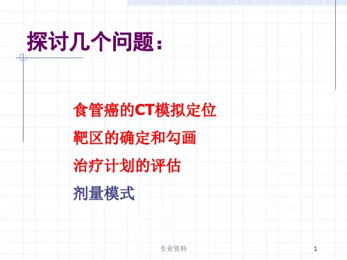 食管癌靶区勾画专家指导