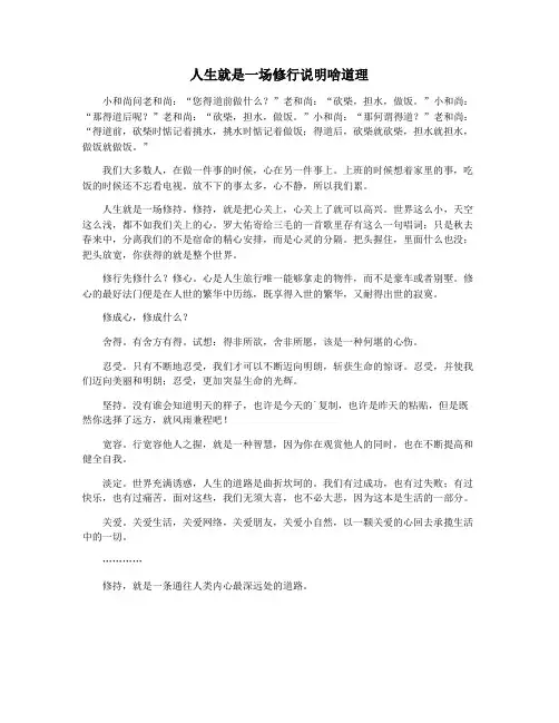 人生就是一场修行说明啥道理
