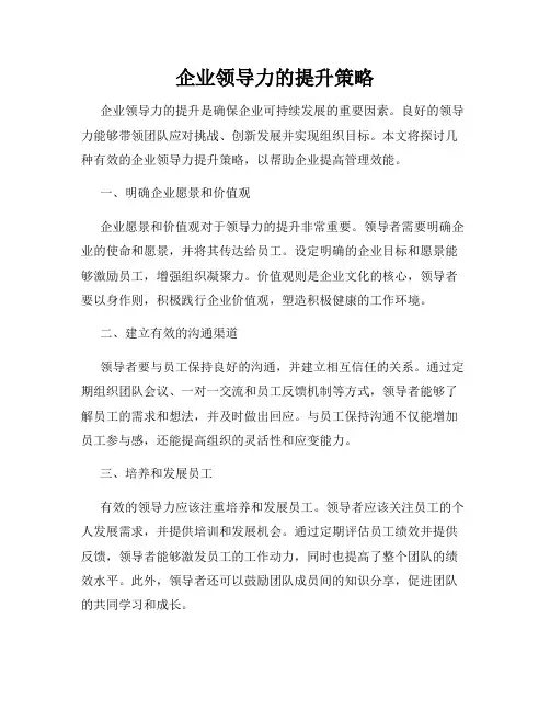 企业领导力的提升策略