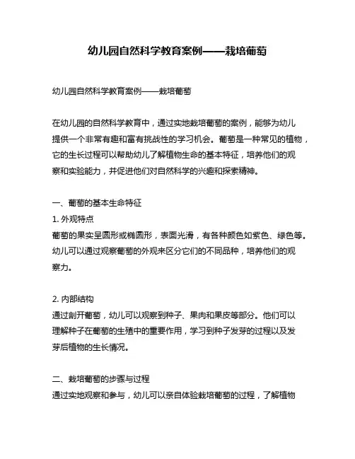 幼儿园自然科学教育案例——栽培葡萄