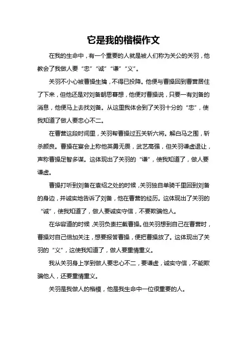 它是我的楷模作文