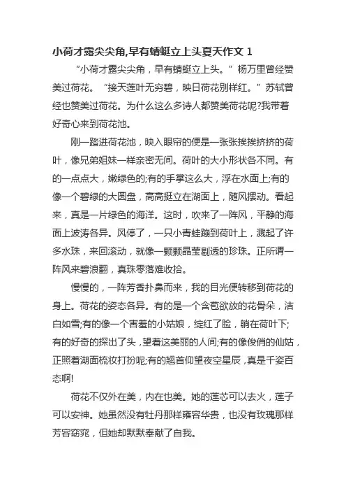 小荷才露尖尖角,早有蜻蜓立上头夏天作文