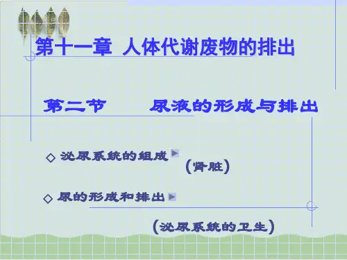 七年级下册生物ppt课件与教案 北师大版7.ppt