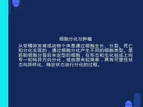细胞分化与肿瘤