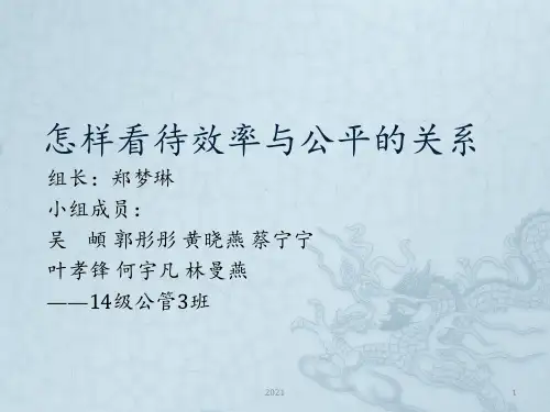 怎样看待效率与公平的关系PPT课件