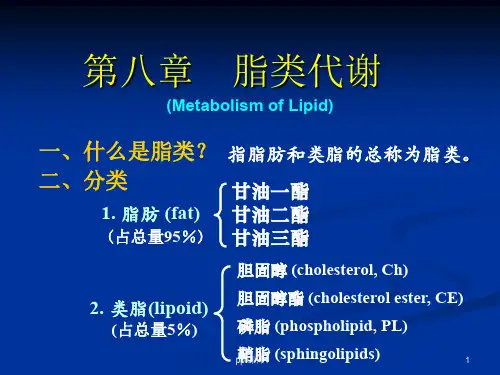 《生物化学》脂类代谢  ppt课件