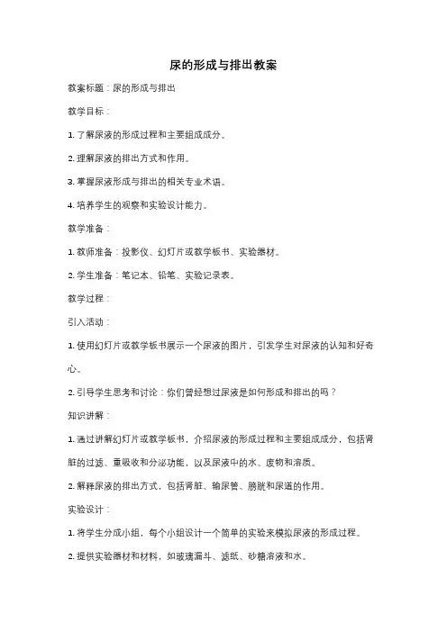 尿的形成与排出教案