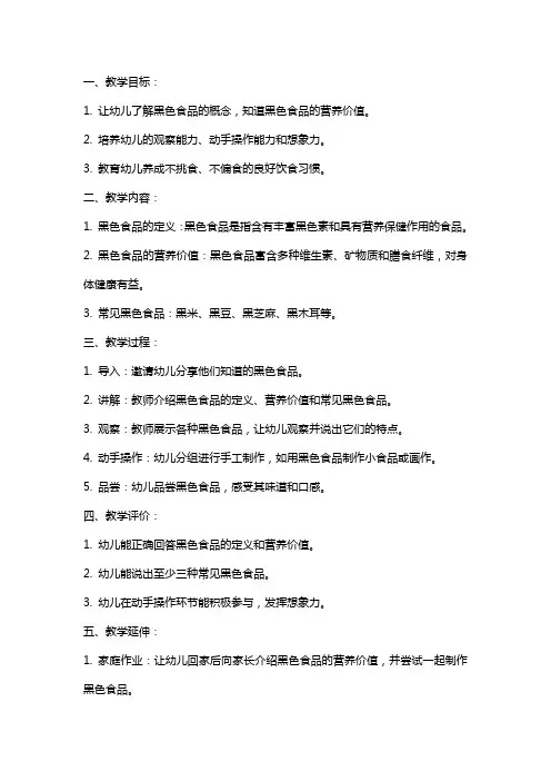 《黑色食品》大班教案