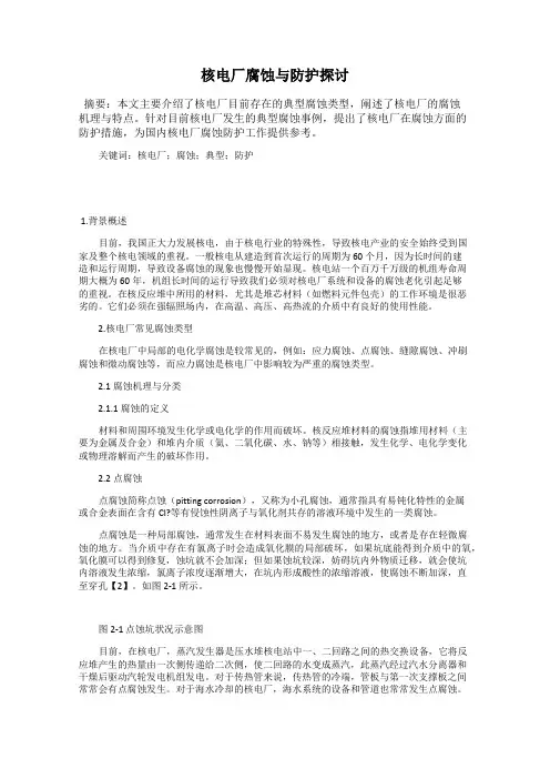 核电厂腐蚀与防护探讨