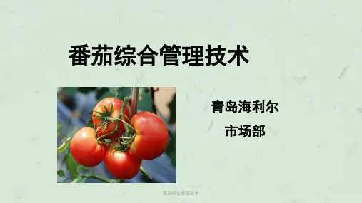 番茄综合管理技术课件