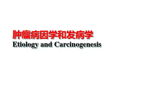 肿瘤病因学和发病学