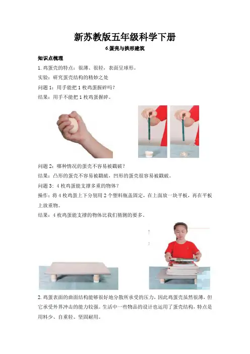 新苏教版五年级科学(下册)6蛋壳与拱形建筑知识点梳理及经典考题练习