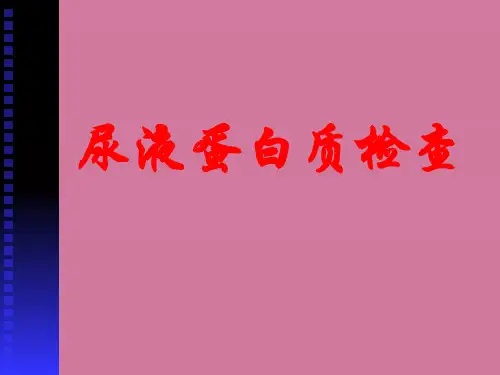 《尿液蛋白质检查》ppt课件