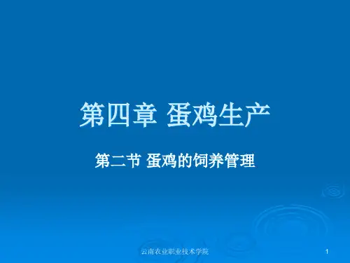 第四章蛋鸡生产3产蛋期的饲养管理PowerPoint