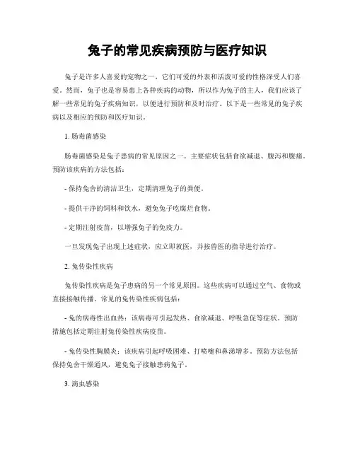 兔子的常见疾病预防与医疗知识