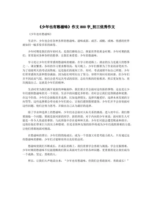 《少年也有愁滋味》作文800字_初三优秀作文