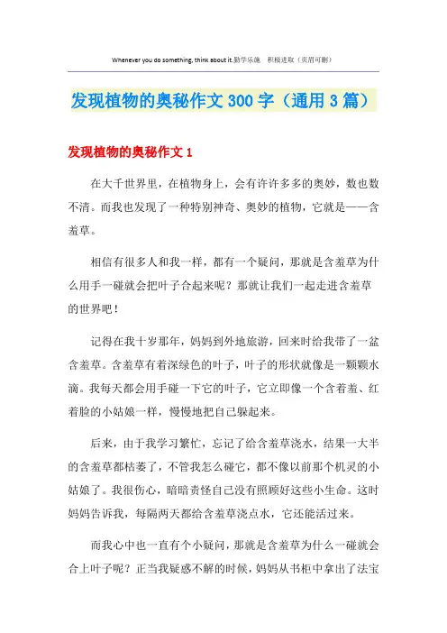 发现植物的奥秘作文300字(通用3篇)
